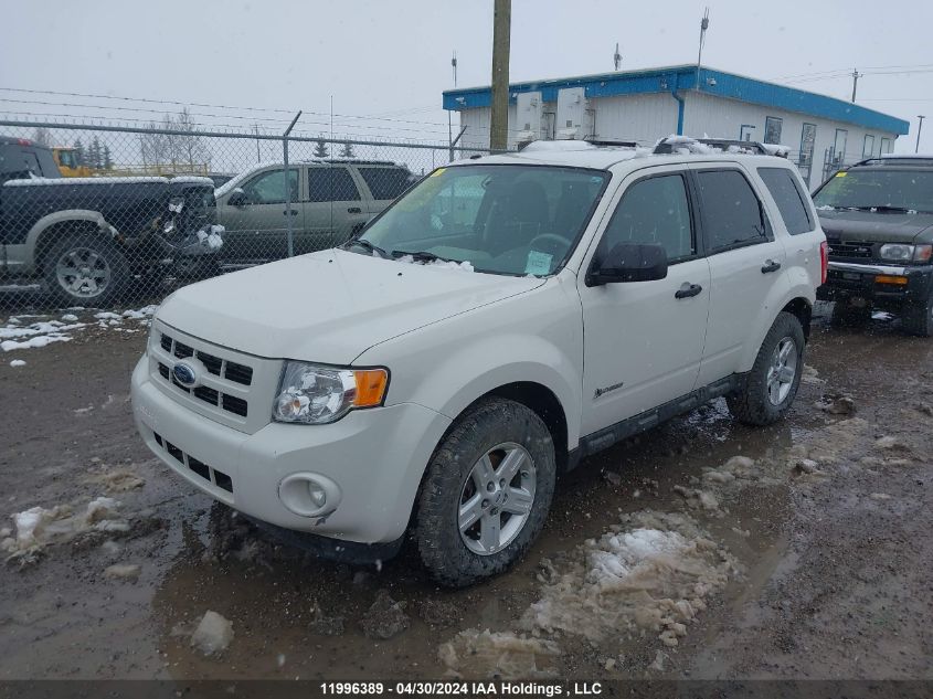 2009 Ford Escape Hybrid VIN: 1FMCU49329KC55736 Lot: 11996389