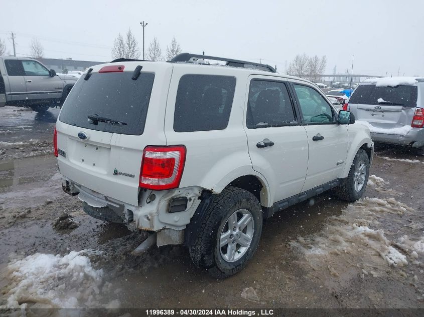 2009 Ford Escape Hybrid VIN: 1FMCU49329KC55736 Lot: 11996389