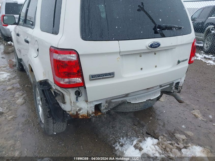 2009 Ford Escape Hybrid VIN: 1FMCU49329KC55736 Lot: 11996389