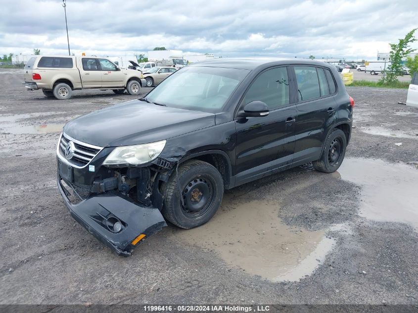 2009 Volkswagen Tiguan VIN: WVGAV75N79W523993 Lot: 11996416