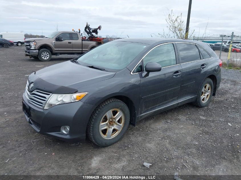 2010 Toyota Venza VIN: 4T3BA3BB3AU015059 Lot: 11996429