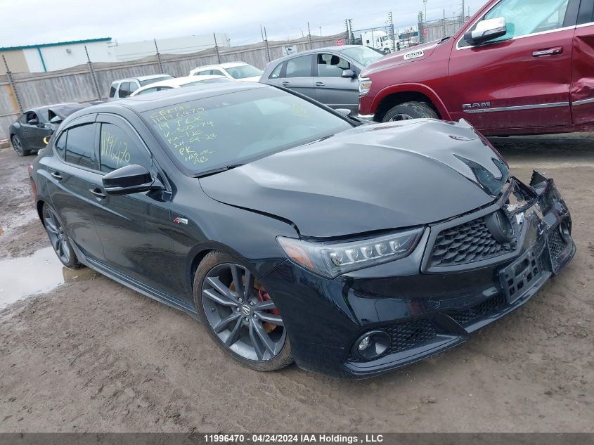 2019 Acura Tlx VIN: 19UUB3F85KA800074 Lot: 11996470