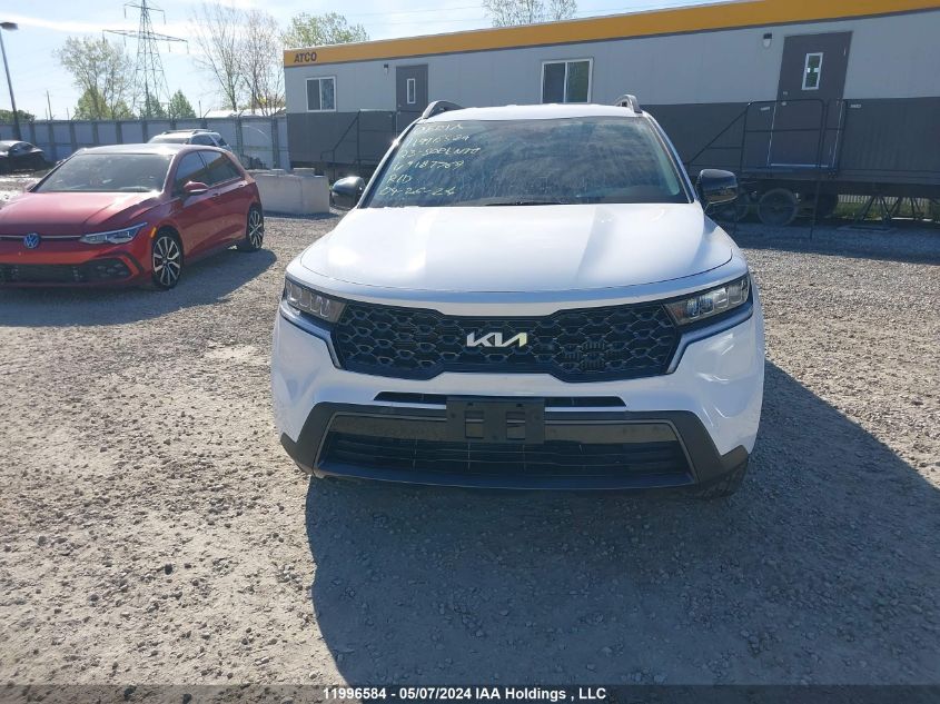 2023 Kia Sorento VIN: 5XYRGDLF0PG187769 Lot: 11996584