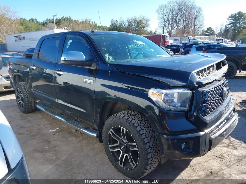 2018 Toyota Tundra Platinum 5.7L V8 VIN: 5TFAY5F19JX755957 Lot: 11996629