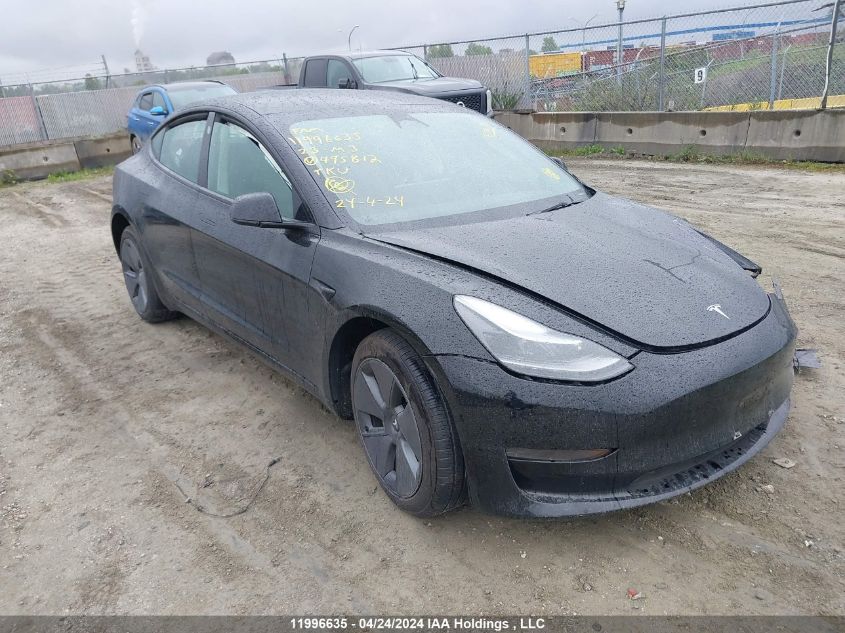 2023 Tesla Model 3 VIN: 5YJ3E1EAXPF495812 Lot: 11996635