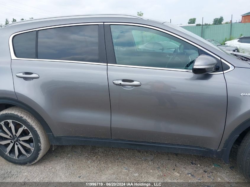 2017 Kia Sportage VIN: KNDPNCAC4H7045827 Lot: 11996719