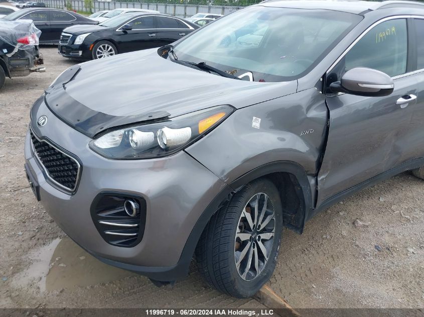 2017 Kia Sportage VIN: KNDPNCAC4H7045827 Lot: 11996719