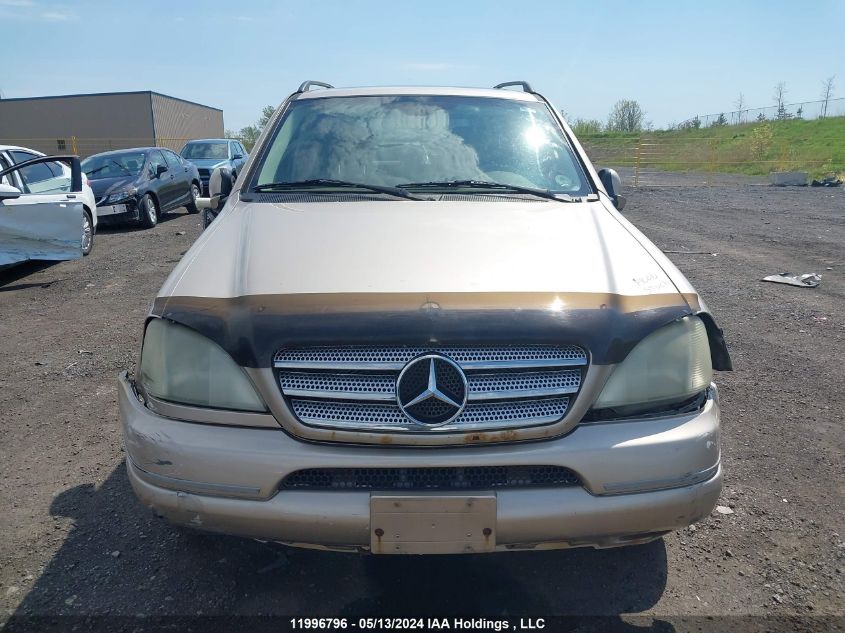 2001 Mercedes-Benz M-Class VIN: 4JGAB54E21A242362 Lot: 11996796