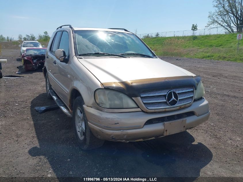 2001 Mercedes-Benz M-Class VIN: 4JGAB54E21A242362 Lot: 11996796