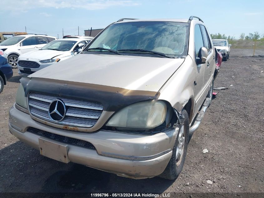 2001 Mercedes-Benz M-Class VIN: 4JGAB54E21A242362 Lot: 11996796