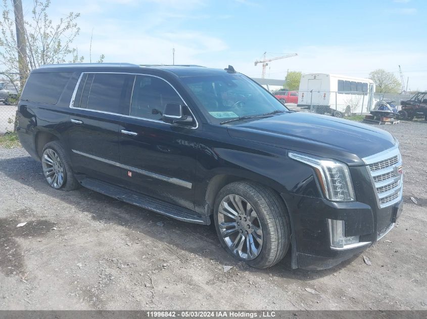 2017 Cadillac Escalade Esv VIN: 1GYS4HKJ1HR376841 Lot: 11996842