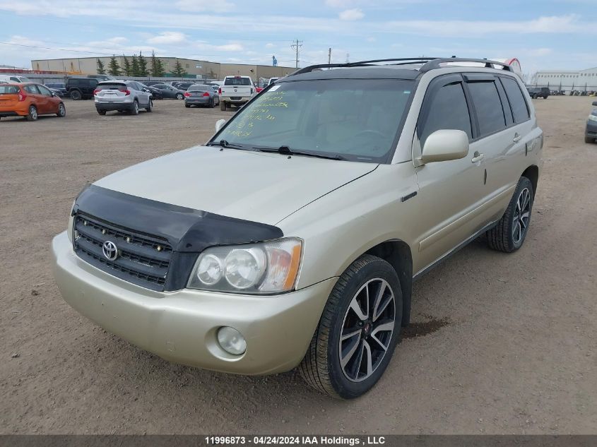 2003 Toyota Highlander Limited VIN: JTEHF21A530099743 Lot: 11996873