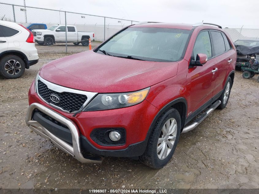 2011 Kia Sorento VIN: 5XYKTDA26BG168178 Lot: 11996907