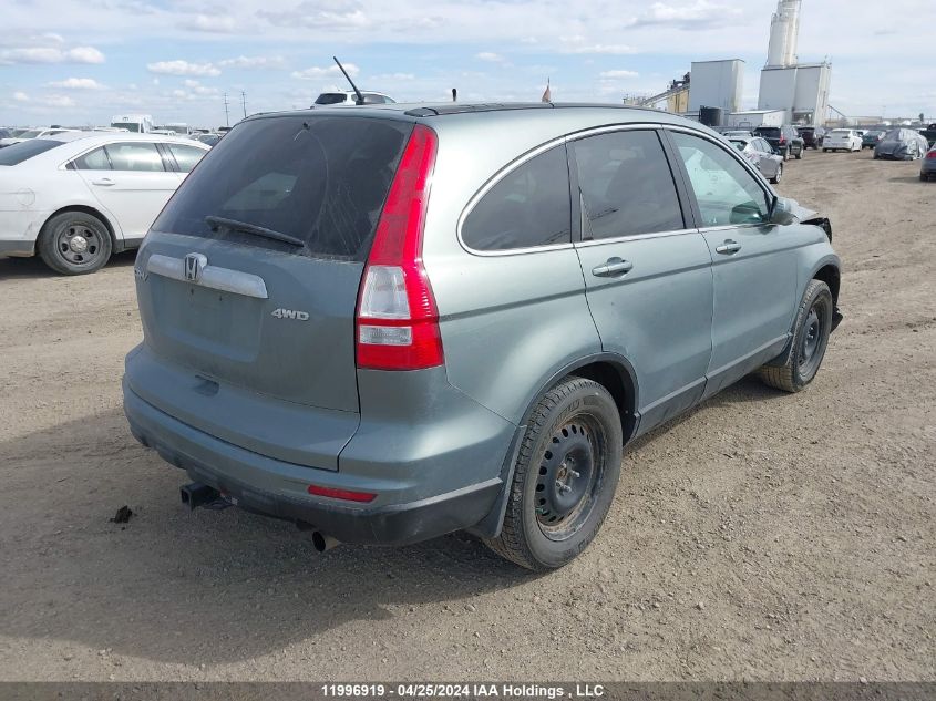 2010 Honda Cr-V VIN: 5J6RE4H52AL807033 Lot: 11996919