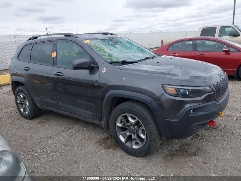 2019 Jeep Cherokee Trailhawk VIN: 1C4PJMBX0KD279006 Lot: 11996996