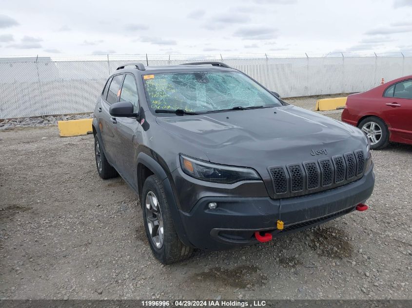 2019 Jeep Cherokee Trailhawk VIN: 1C4PJMBX0KD279006 Lot: 11996996