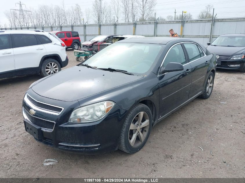 2009 Chevrolet Malibu 2Lt VIN: 1G1ZJ57B794231646 Lot: 11997108