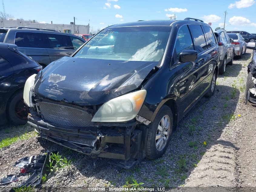 2008 Honda Odyssey VIN: 5FNRL387X8B506157 Lot: 11997195