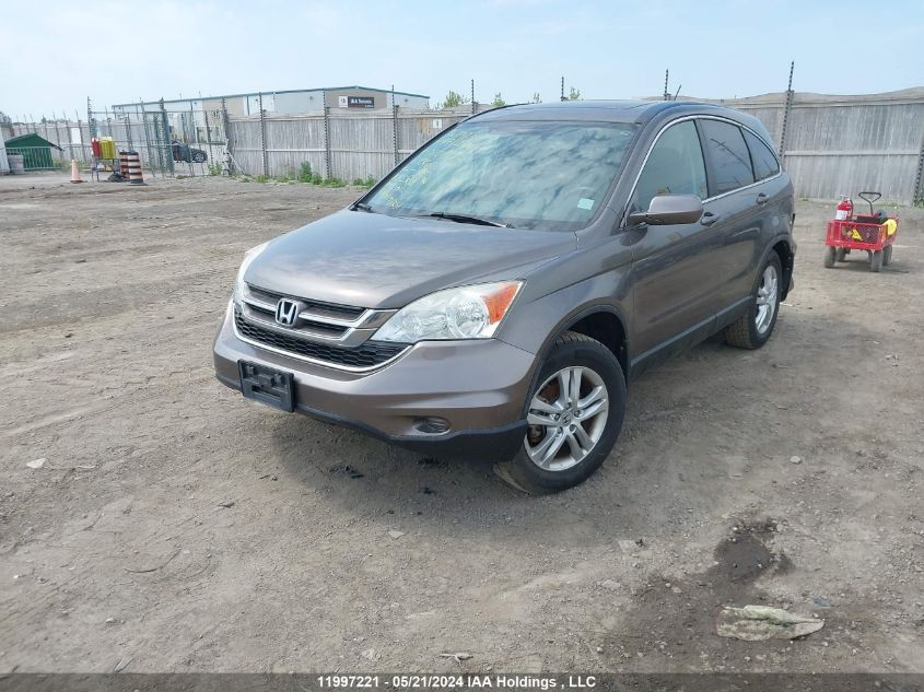 2010 Honda Cr-V VIN: 5J6RE4H75AL810722 Lot: 11997221