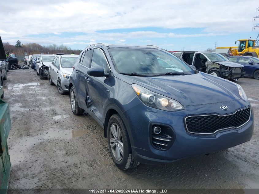 2017 Kia Sportage Lx VIN: KNDPMCAC7H7083331 Lot: 11997237