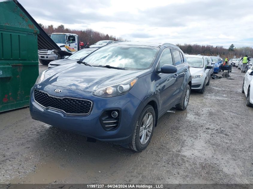 2017 Kia Sportage Lx VIN: KNDPMCAC7H7083331 Lot: 11997237