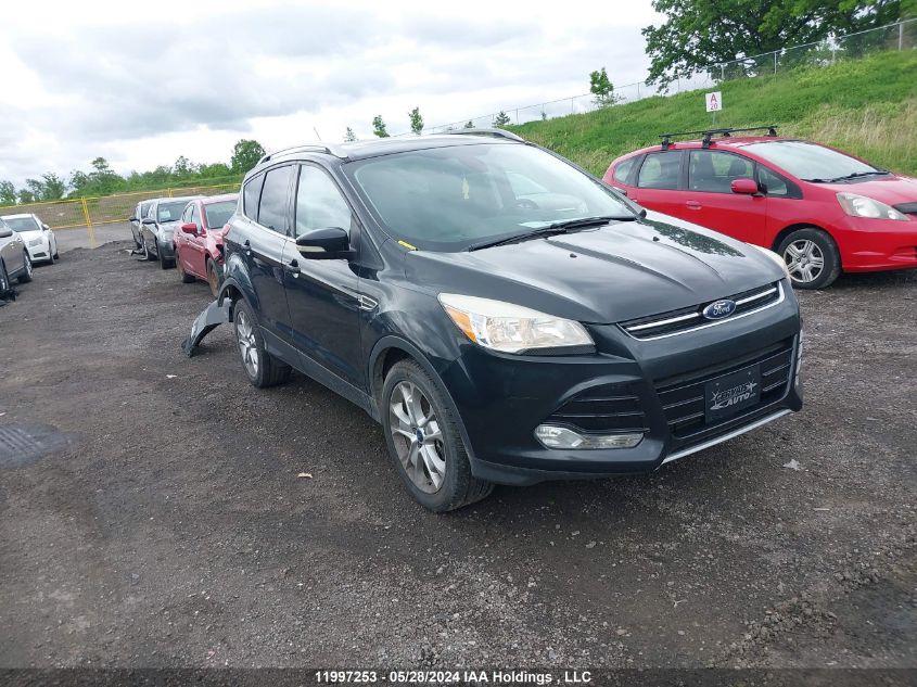 2014 Ford Escape VIN: 1FMCU9J91EUB50424 Lot: 11997253