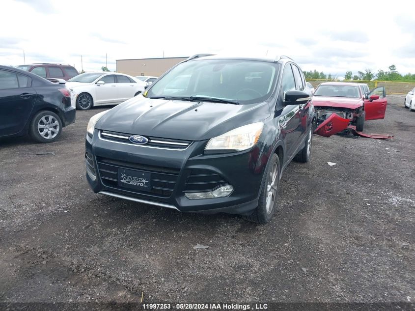 2014 Ford Escape VIN: 1FMCU9J91EUB50424 Lot: 11997253