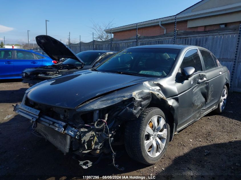 2009 Honda Accord Exl VIN: 1HGCP26839A802648 Lot: 11997295