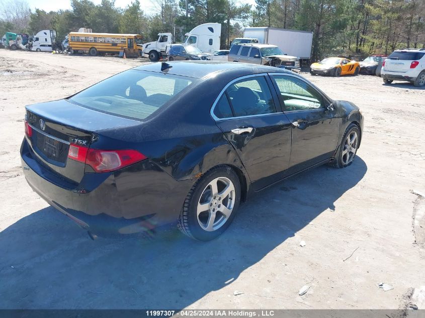 2011 Acura Tsx VIN: JH4CU2F50BC800250 Lot: 11997307