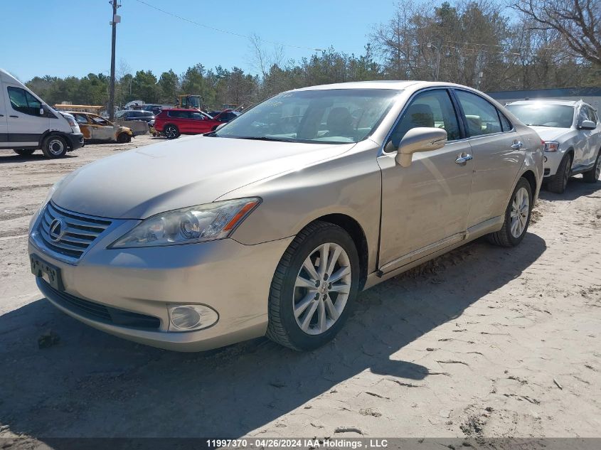 2010 Lexus Es 350 350 VIN: JTHBK1EG1A2391016 Lot: 11997370