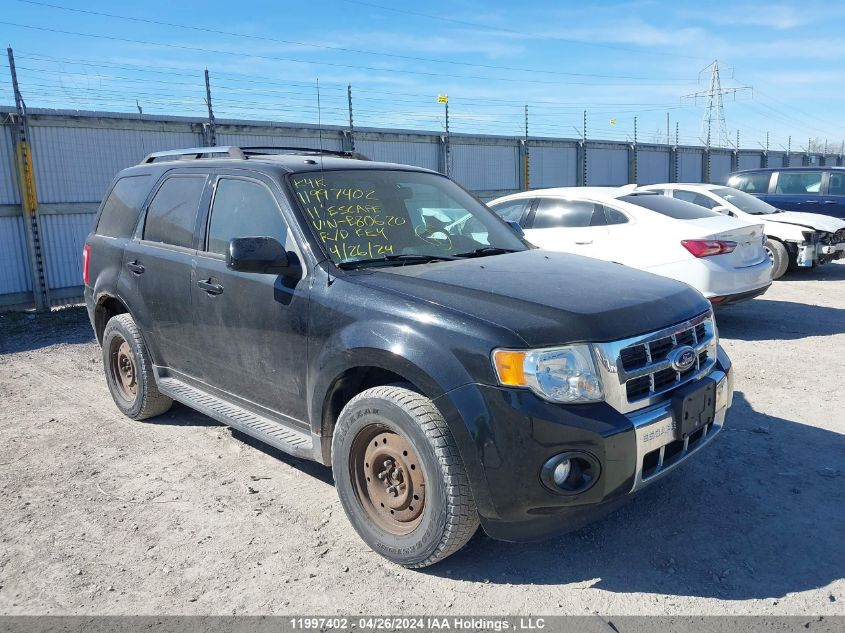 2011 Ford Escape Limited VIN: 1FMCU9EG8BKB80620 Lot: 11997402