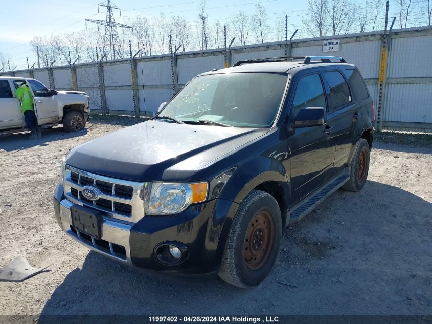 2011 Ford Escape Limited VIN: 1FMCU9EG8BKB80620 Lot: 11997402