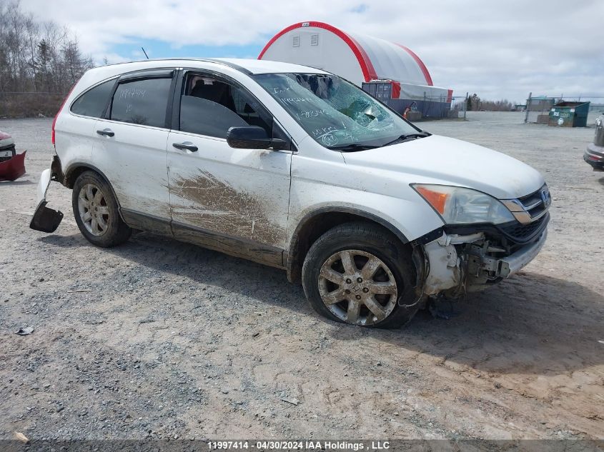 2010 Honda Cr-V VIN: 5J6RE3H33AL803145 Lot: 11997414