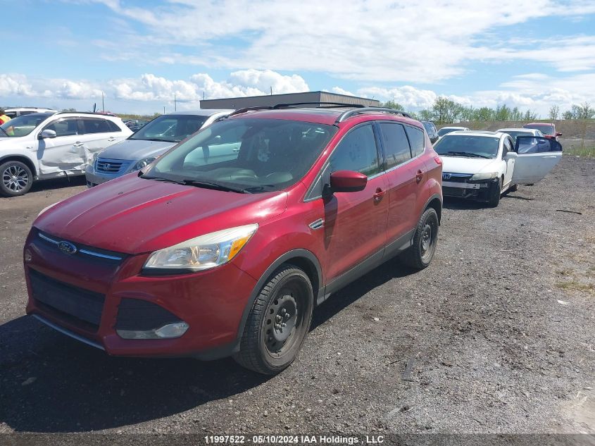 2014 Ford Escape VIN: 1FMCU9G97EUB87887 Lot: 11997522