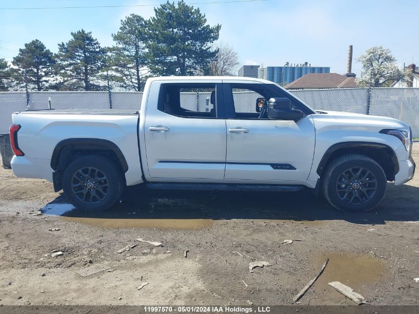 2022 Toyota Tundra Platinum VIN: 5TFNA5DB9NX017356 Lot: 11997570