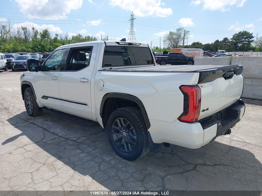 2022 Toyota Tundra Platinum VIN: 5TFNA5DB9NX017356 Lot: 11997570