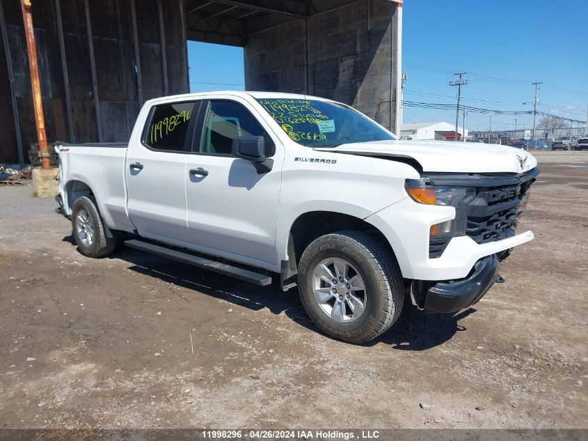 2022 Chevrolet Silverado K1500 VIN: 1GCPDAEK0NZ623480 Lot: 11998296