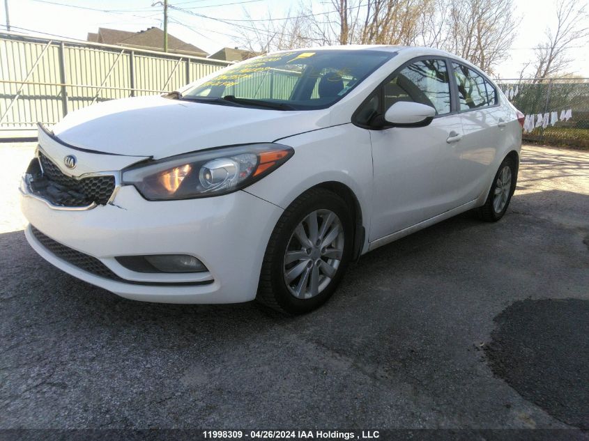 2016 Kia Forte VIN: KNAFX4A61G5466109 Lot: 11998309