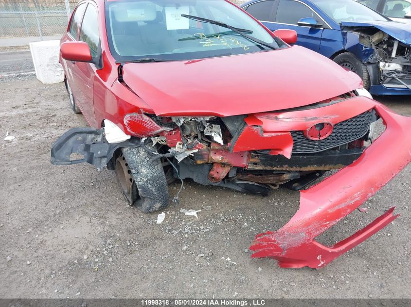 2010 Toyota Corolla S/Le/Xle VIN: 2T1BU4EE4AC202923 Lot: 11998318