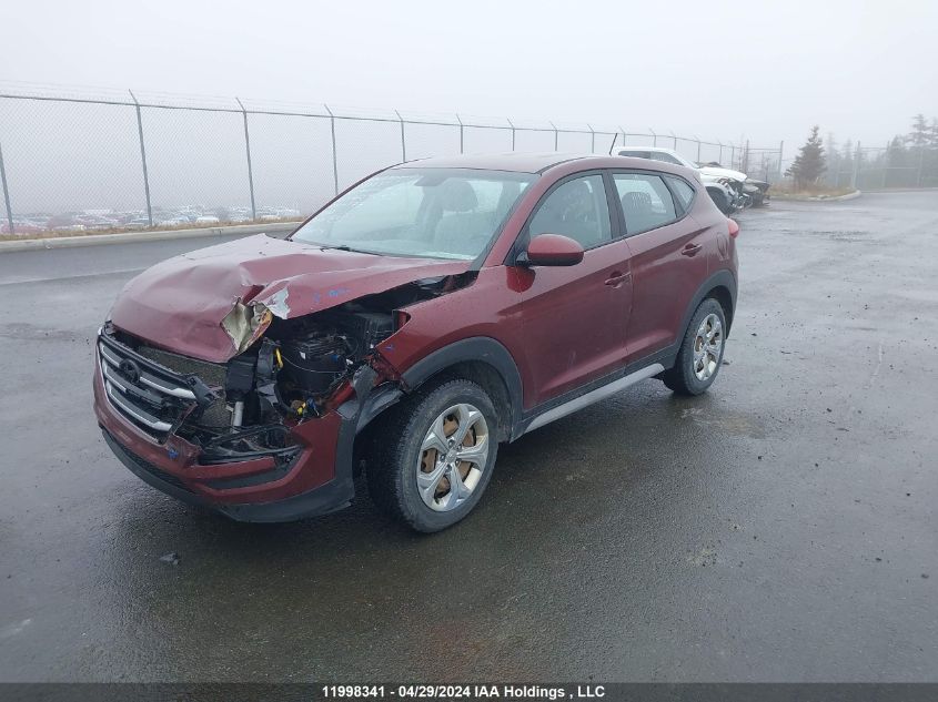 2017 Hyundai Tucson VIN: KM8J23A40HU409049 Lot: 11998341