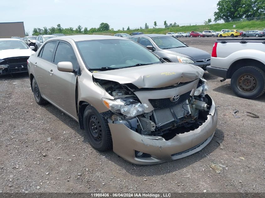 2010 Toyota Corolla VIN: 2T1BU4EE2AC285431 Lot: 11998406