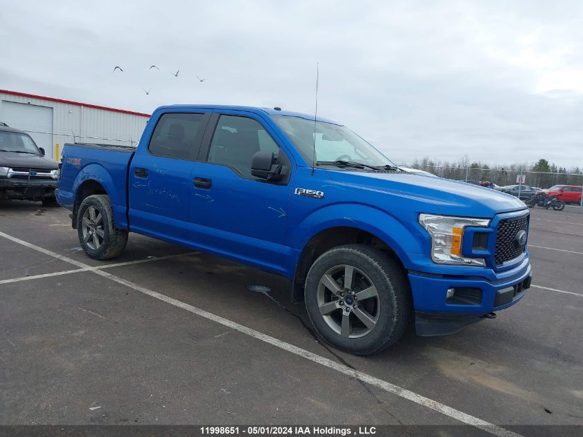 2019 Ford F-150 Xl VIN: 1FTEW1EP8KKC62436 Lot: 11998651