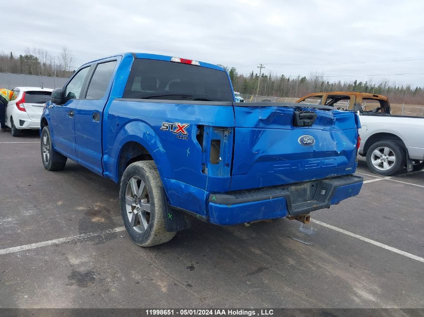 2019 Ford F-150 Xl VIN: 1FTEW1EP8KKC62436 Lot: 11998651