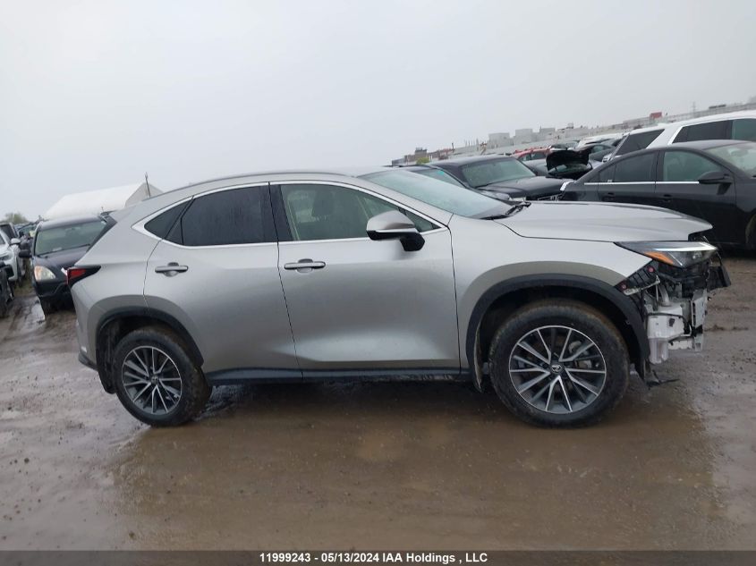 2022 Lexus Nx 250 VIN: JTJADCEZ9N2000623 Lot: 11999243