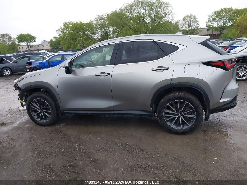 2022 Lexus Nx 250 VIN: JTJADCEZ9N2000623 Lot: 11999243