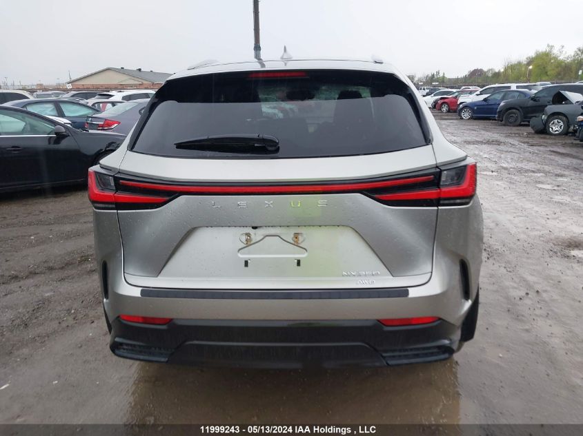 2022 Lexus Nx 250 VIN: JTJADCEZ9N2000623 Lot: 11999243