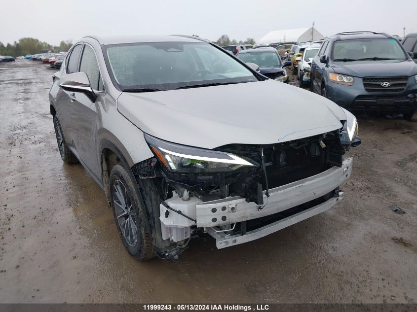 2022 Lexus Nx 250 VIN: JTJADCEZ9N2000623 Lot: 11999243