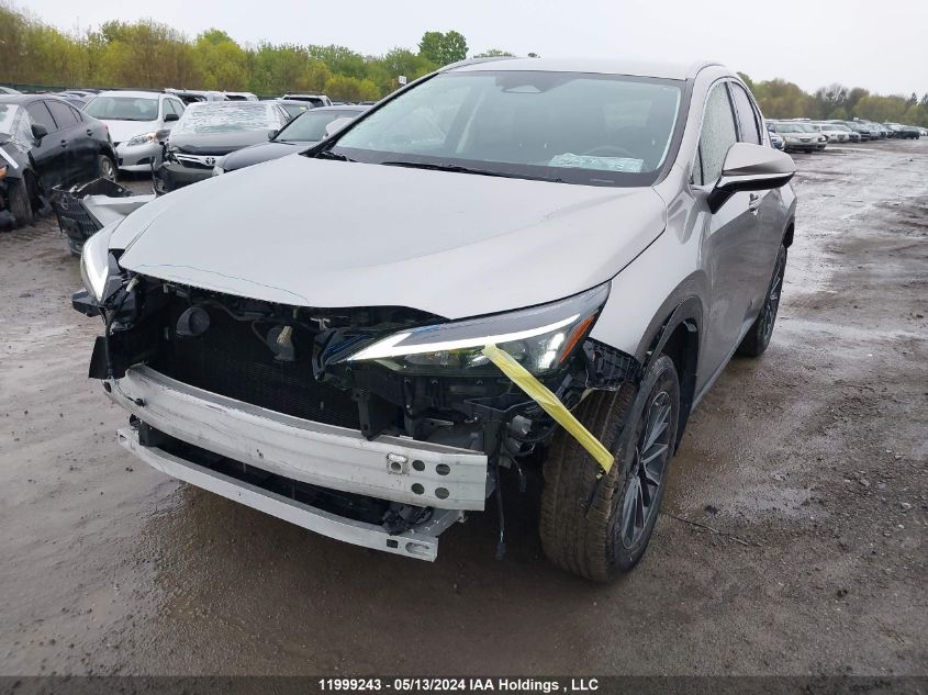 2022 Lexus Nx 250 VIN: JTJADCEZ9N2000623 Lot: 11999243