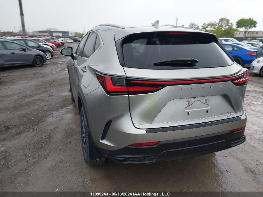 2022 Lexus Nx 250 VIN: JTJADCEZ9N2000623 Lot: 11999243