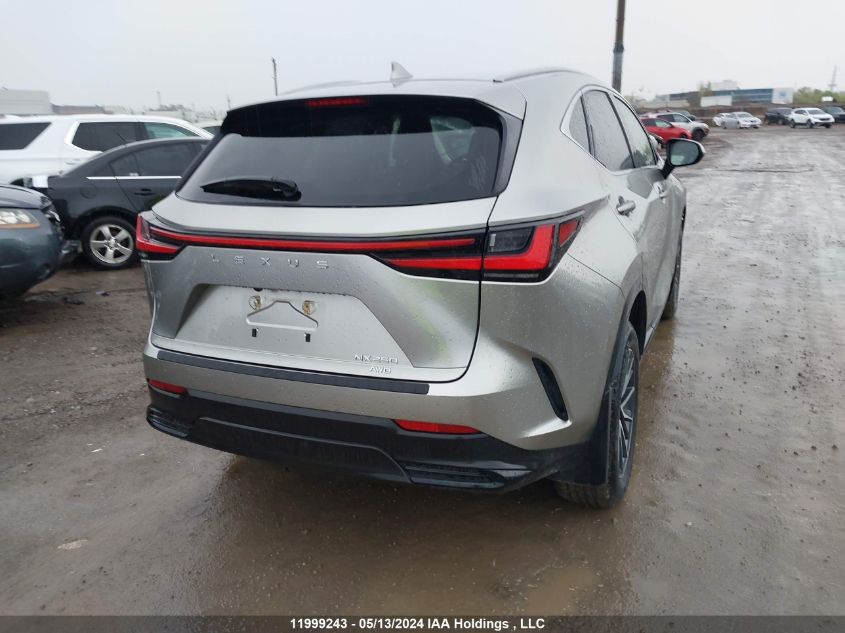 2022 Lexus Nx 250 VIN: JTJADCEZ9N2000623 Lot: 11999243